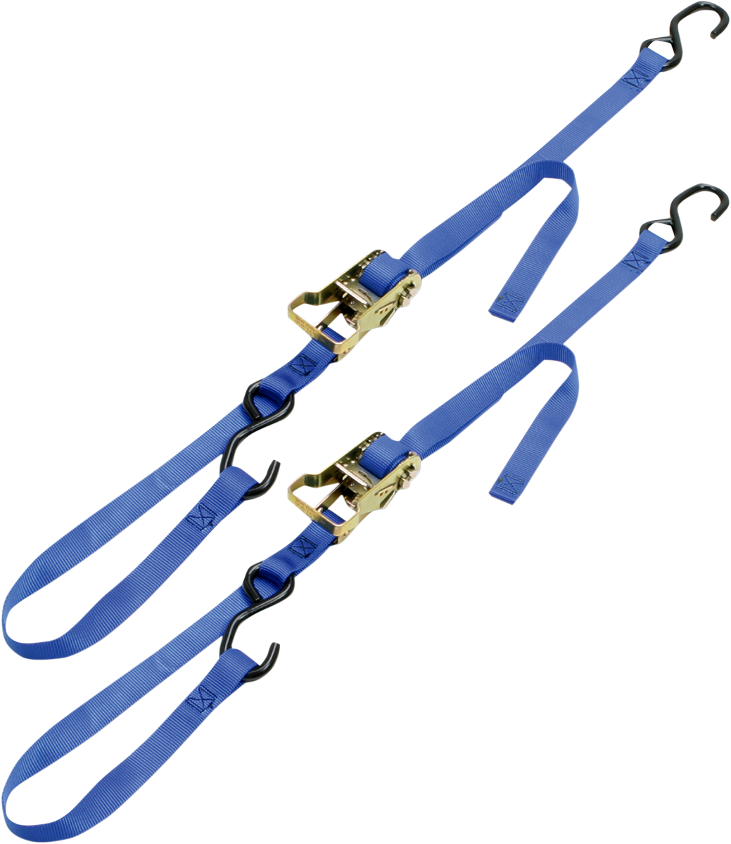 ANCRA Integra Rat Pak Tie-Downs - 1" x 6' - Blue 49498-12