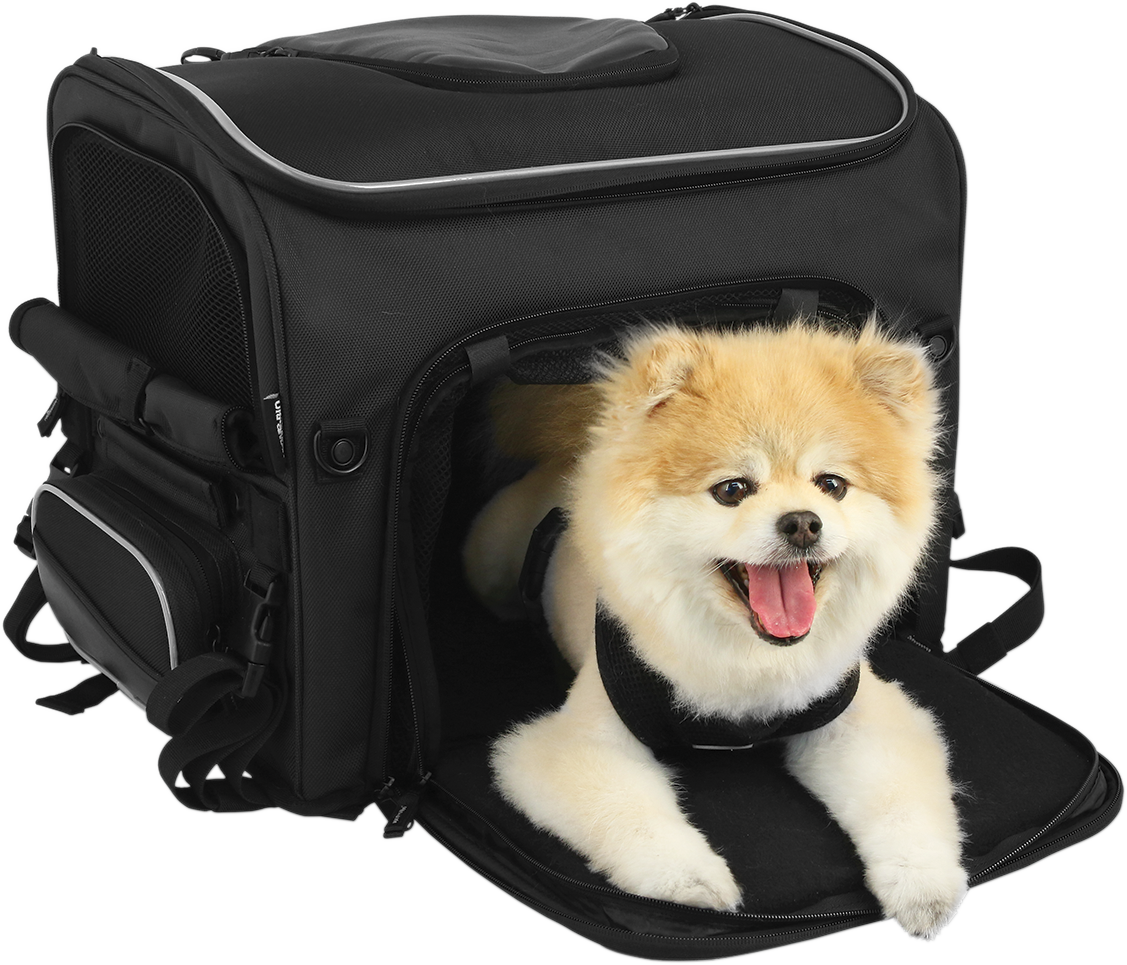 NELSON RIGG Route 1 Rover Pet Carrier - Black NR-240