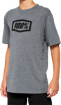 100% Youth Icon T-Shirt - Heather Gray - XL 20001-00011 - Cycle City Outdoors