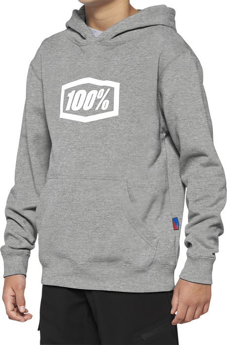 100% Youth Icon Hoodie - Gray - Large 20030-00006 - Cycle City Outdoors