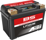 BS BATTERY Lithium Battery - BSLi-08 360108