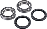 FACTORY LINKS Axle Bearing Kit - Rear ARA-S-002