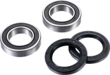 FACTORY LINKS Axle Bearing Kit - Rear ARA-Y-011