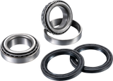 FACTORY LINKS Axle Bearing Kit - Rear ARA-P-007