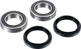 FACTORY LINKS Axle Bearing Kit - Rear ARA-Y-010