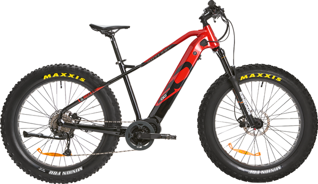 IGO ELECTRIC BIKES Outland Torngat RS E-Bike - Fatbike 100-322-300 - Cycle City Outdoors