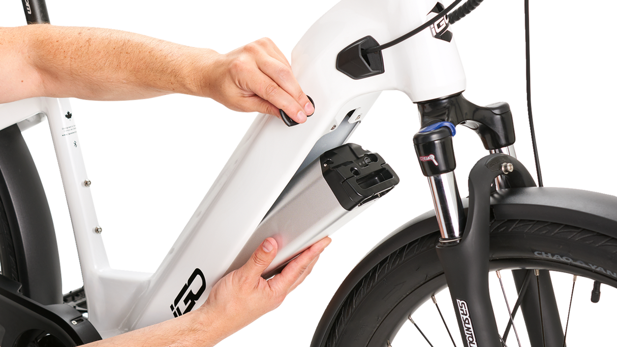 IGO ELECTRIC BIKES Discovery Rosemont LE E-Bike - Step Through 100-211-000 - Cycle City Outdoors