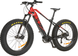 IGO ELECTRIC BIKES Outland Torngat RS E-Bike - Fatbike 100-322-300 - Cycle City Outdoors