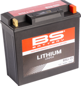 BS BATTERY Lithium Battery - BSLi-13 360113