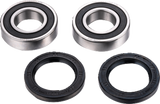 FACTORY LINKS Axle Bearing Kit - Rear ARA-F-001