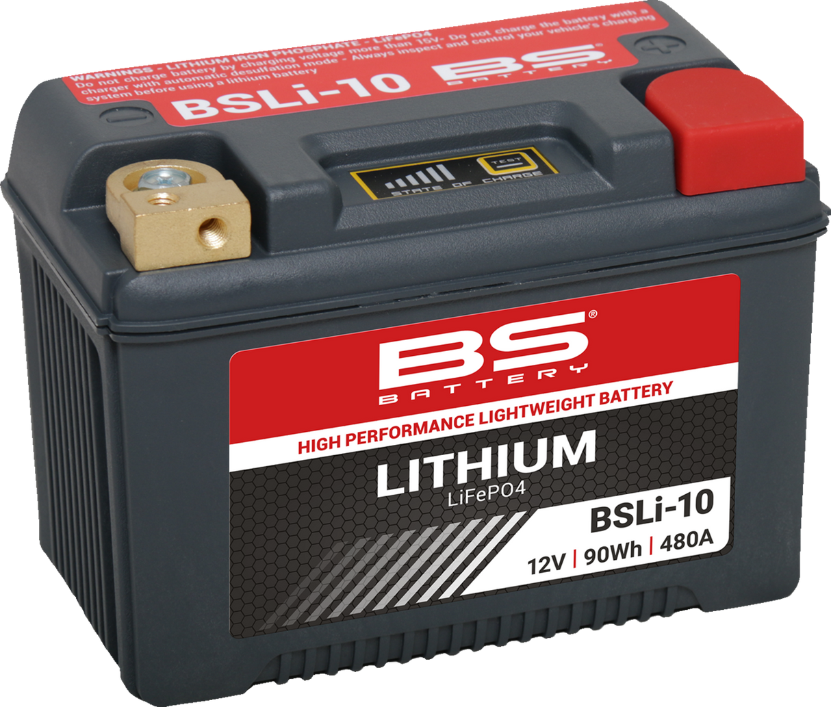 BS BATTERY Lithium Battery - BSLI-10 360118